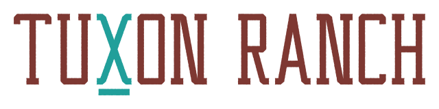 a western movie set and amusement park